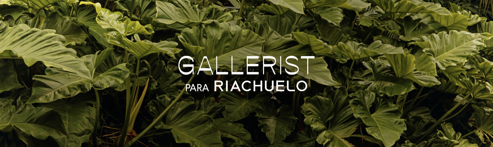 Gallerist para Riachuelo