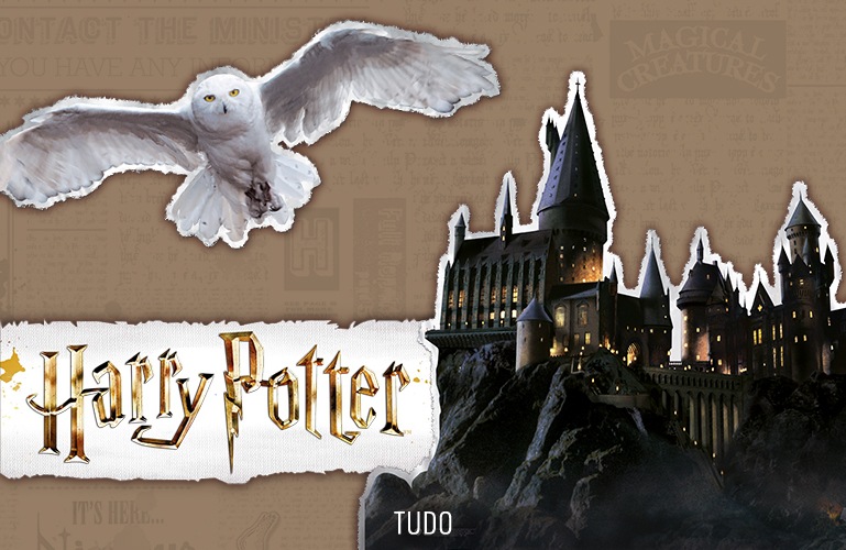 camisa harry potter feminina riachuelo